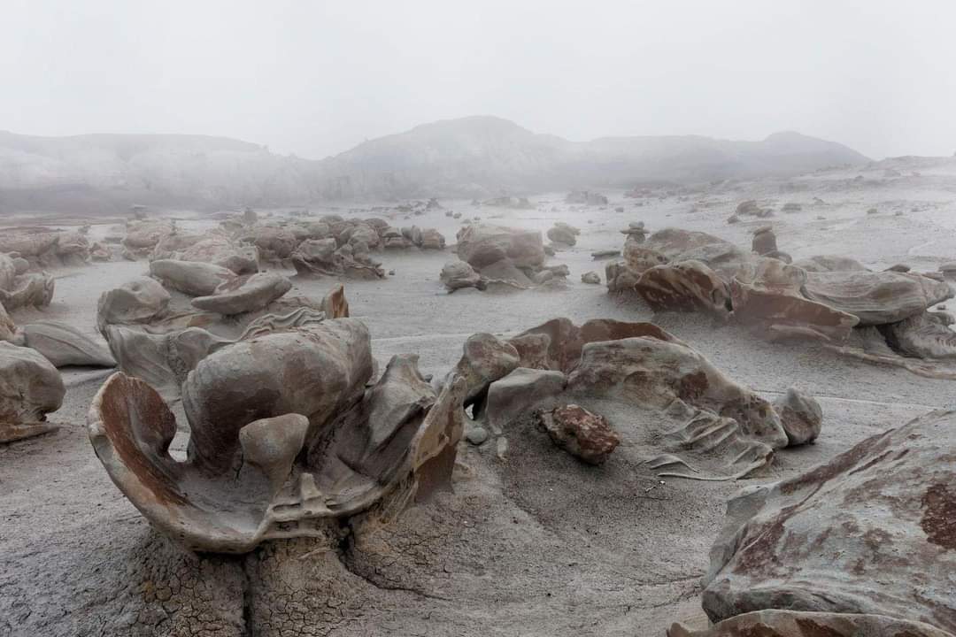 The Bisti Badlands, are among New Mexico's most remarkable natural wonders. Spanning 45,000 acres, these formations, formed from sediments deposited around 75 million years ago during the era of dinosaurs, have been sculpted over millions of years by erosion. #nature