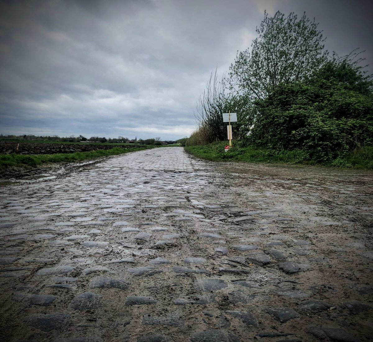 #ParisRoubaix Va a haber chocolate del bueno 🍫 📸 UAE Team Emirates