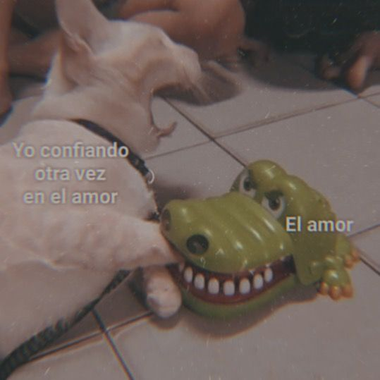 No soy nada 🤡