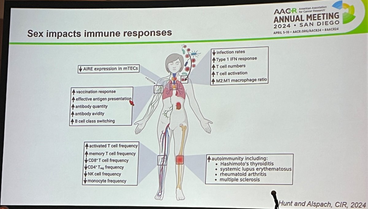 Thanks Elise @AlspachLab for a great start to my #AACR24, exciting to hear how much we are learning about sex-based differences in antitumor immunity. Read more in her recent @CIR_AACR review doi.org/10.1158/2326-6…