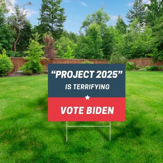 Young-Old-ALL  Americans: economy, jobs, Gaza, Ukraine, fair immigration-border policy, health care, prescript drug prices? ALL important but…
IF TRUMP steals 2024 election US democracy is dead and NONE of the above will be addressed.

#VoteBIDEN2024…forDemocracy!