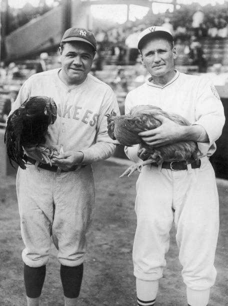 'Babe Ruth once suffered the humiliation of having the great Walter Johnson of the Washington Senators throw three straight fastballs past him. He asked the umpire if he had seen any of the pitches. “No,” replied the umpire. “Neither did I,” said Ruth, “but that last one sounded