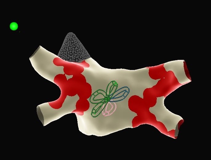 MAURICIO HONG tweet media