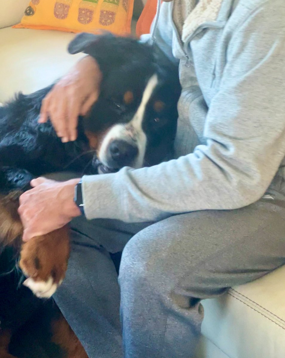 RevaliTheBerner tweet media