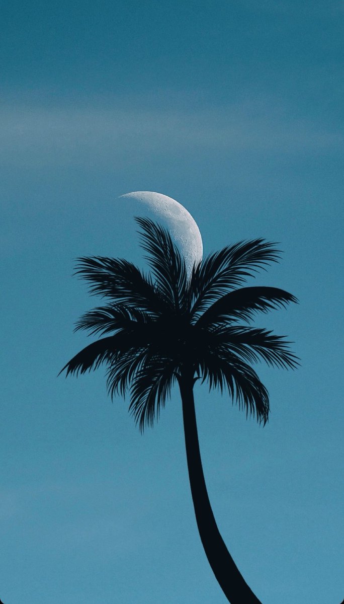 MOON LOVER (@m1onlover) on Twitter photo Perfect Moon capture. Perfect Moon capture.
