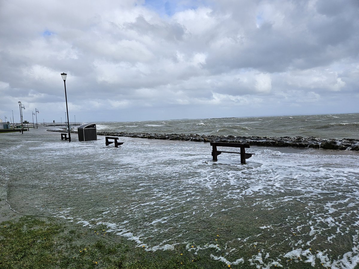 Grand soft day in Salthill. 🐳