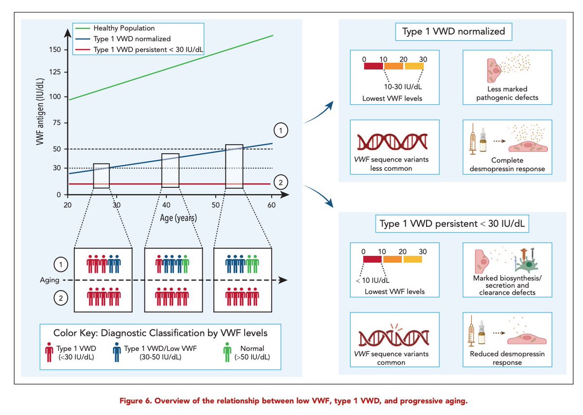 Important paper in @BloodJournal showing that type 1 von Willebrand disease consists of two groups, those that normalise their levels with age and those who do not. The number diagnosed depends at what age you do the testing. tinyurl.com/ye26zyhf #VWD #agerelated