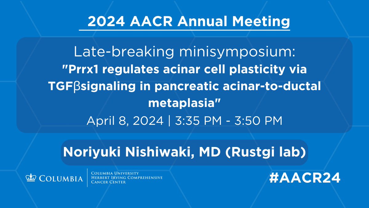🚨LATE-BREAKING RESEARCH🚨 from the Rustgi lab shedding light on the molecular mechanisms underlying pancreatic cancer development and suggesting Prrx1 as a potential therapeutic target. Tomorrow at #AACR2024! abstractsonline.com/pp8/#!/20272/p…