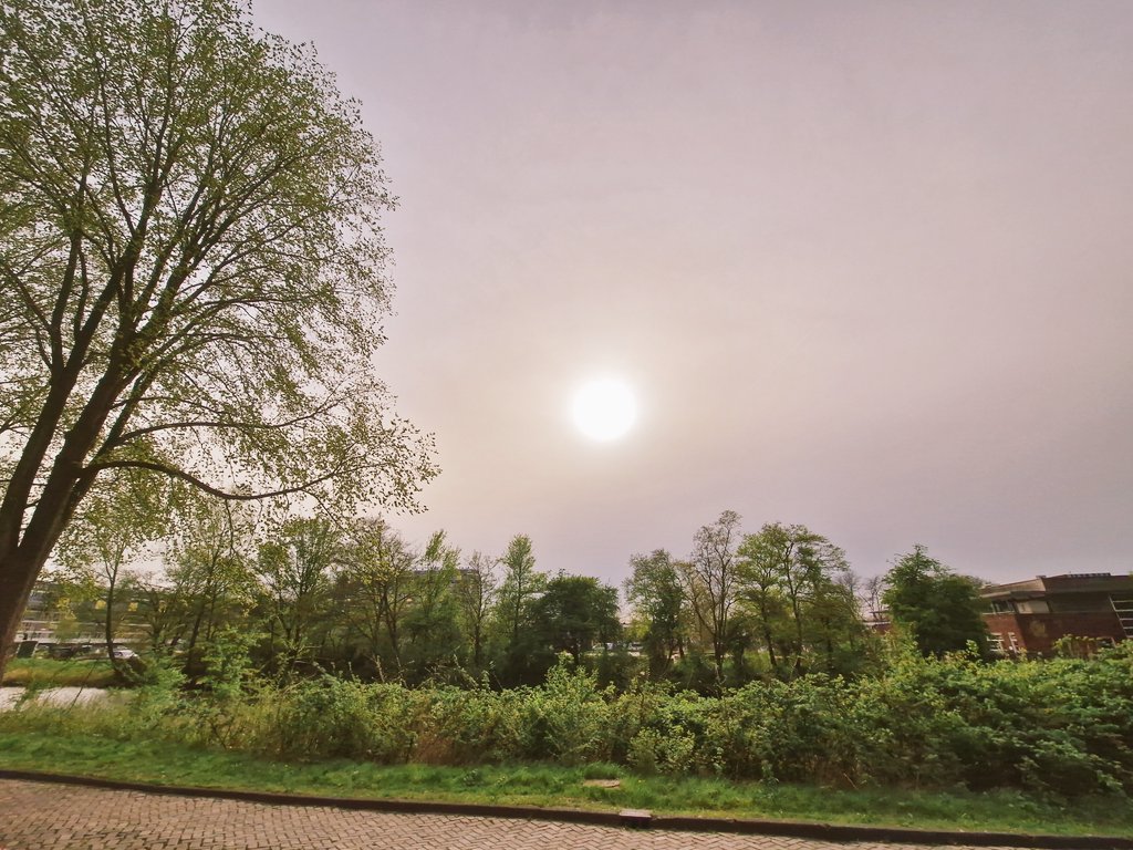 Een tsunami van zand van het Afrikaanse continent teistert ons land. Ze pakken al ons zonlicht af. Zand moet worden opgevangen in de regio.
#Saharazand