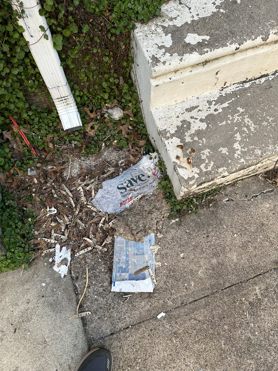 Litter, Litter everywhere - Thanks SaveDotCom and Acme Markets for littering Philadelphia with your weekly circulars.  <a href="/PhillyMayor/">Mayor Cherelle L. Parker</a> why do we allow corporations to litter for profit?  Easy win if we move to opt-in for circulars vs today’s opt-out model.