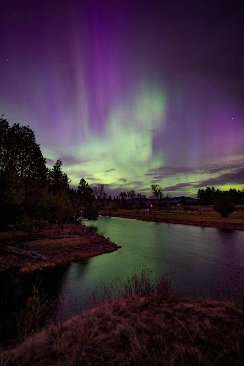 UMGRIZZLIES's tweet image. Happy 4️⃣0️⃣6️⃣ Day to all who call the Treasure State home!
