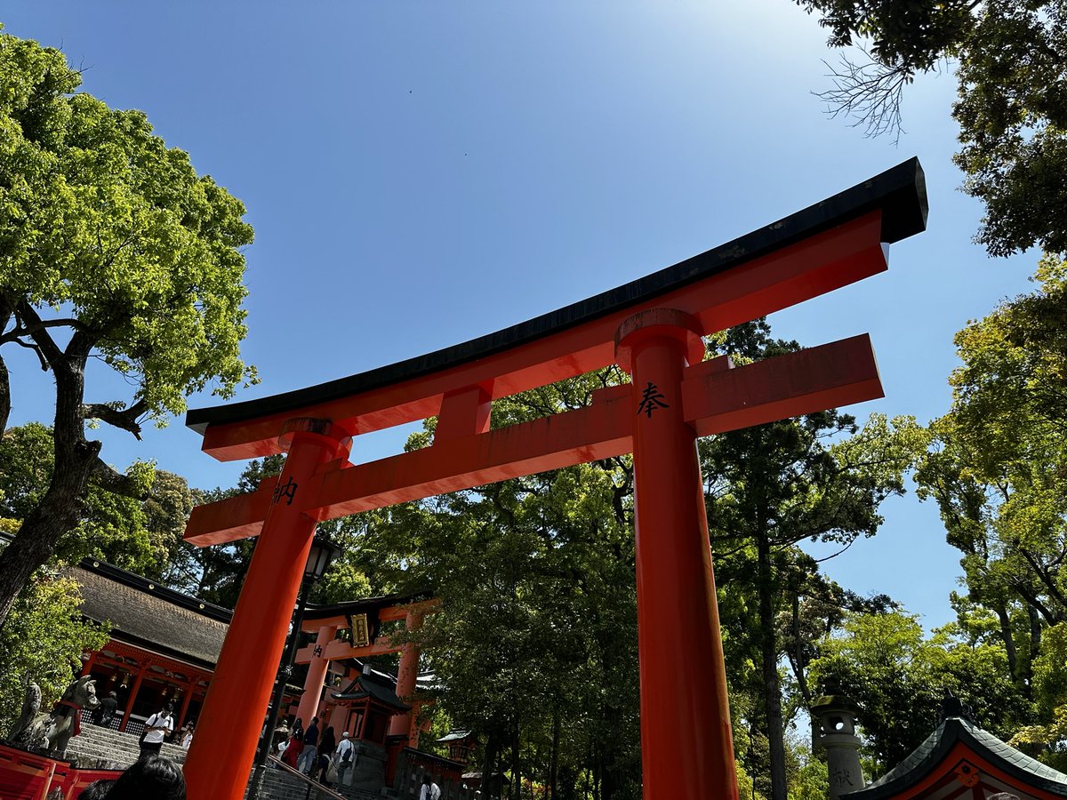 📍Fushimi Inari Shrine 🦊⛩️🇯🇵

Kyoto Travel Guide
Link in bio 🔗

#travel
#travelphotography 
#japan
#kyoto
#fushimiinarishrine 
#fushimiinari 
#shintoshrine 
#temple 
#trip 
#igtravel 
#instatravel 
#travelblogger 
#traveling
#worldplaces