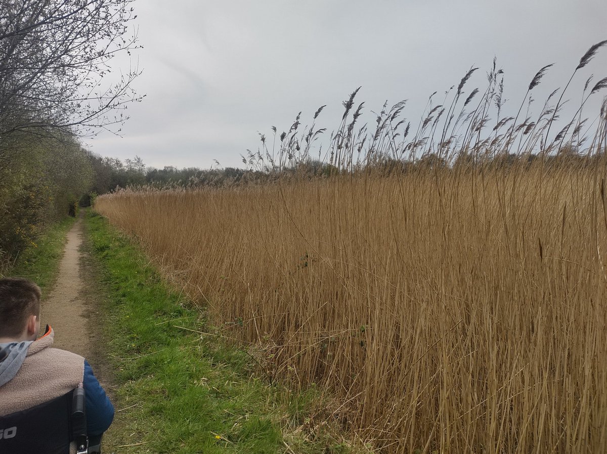donnarasdale's tweet photo. @SteveJDowson @HelpSheffield Thank you for the recommendation. We enjoyed a lovely long walk there today https://t.co/SRq4FWheBM
