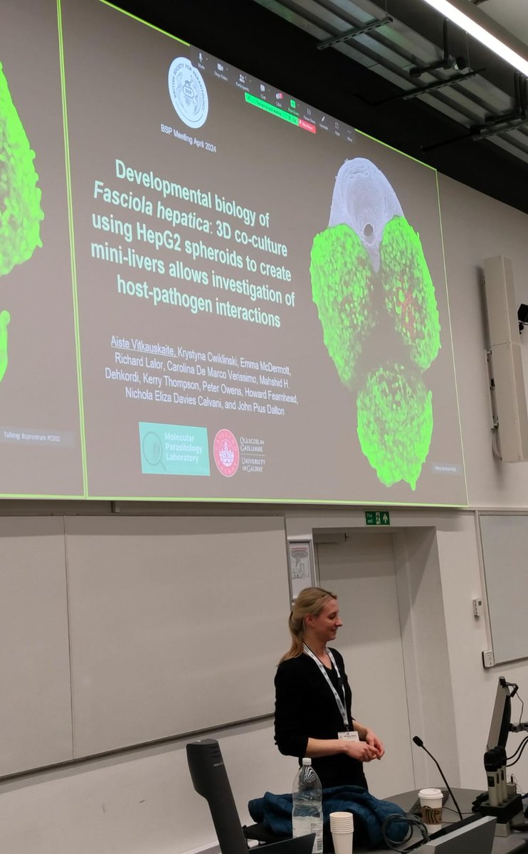 Exciting news from the #BSP2024! Our very own PhD student <a href="/AisteVit/">Aiste Vitkauskaite 🇺🇦</a> discussed a pioneering in vitro platform using HepG2 spheroids to culture F. hepatica parasites. This cutting-edge technique opens new doors for exploring host-pathogen interactions more closely than ever before!