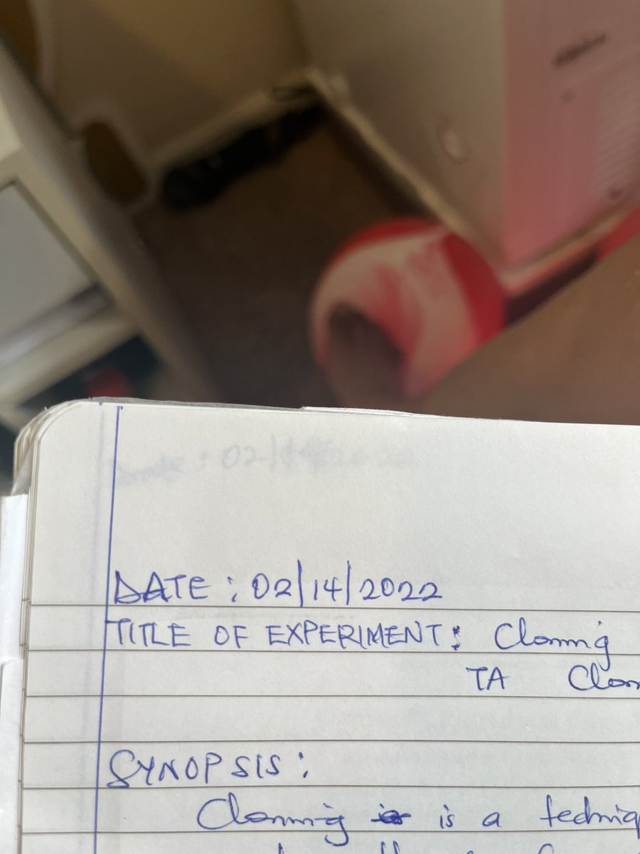 Aanuoluwaduro's tweet image. This is what happens when you meet your professor at a dinner and he says “I hope you’re prepared for your exam cos we will question you on everything you say”. 

Out here reading Spring 22 lab notes 😂🥲

#mixedfeeling
#phding 
#generalexam