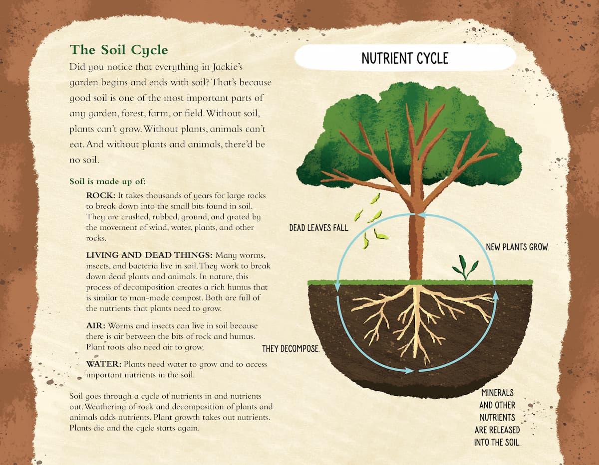 An enchanting picture book that engages children with the wonders of gardening & growing THE SOIL IN JACKIE'S GARDEN #giveaway ends May 15 USA #picturebook #kidlit #books #composting #gardening @FeedingMndsPrs chatwithvera.com/2023/06/feedin…