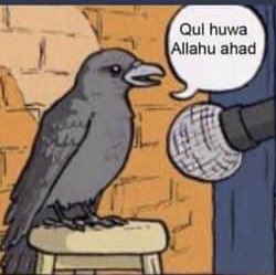 𝐮𝐧𝕩𝐪. tweet media