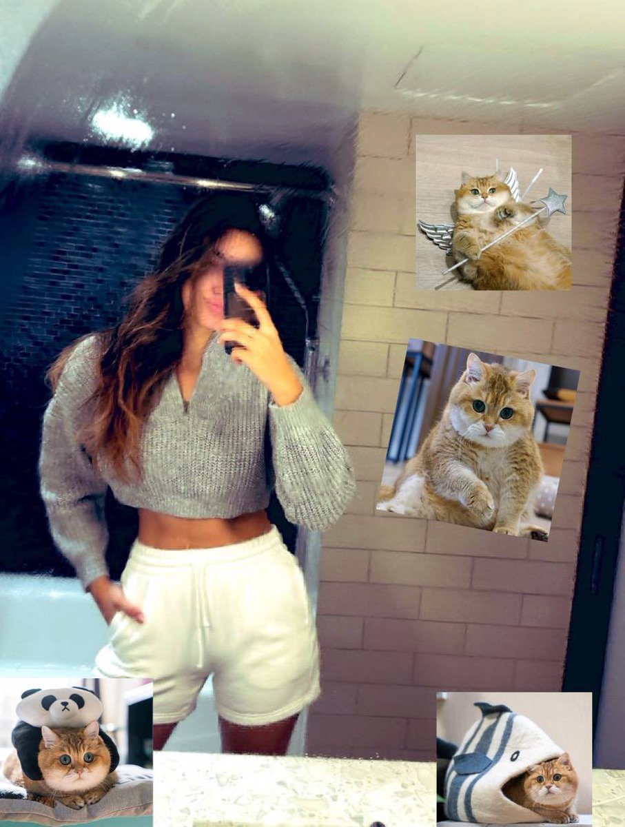 <a href="/SolanaPrincess/">👑 SOL PRINCESS 🛡️</a> Cute cat $hc Hosico 

ETcQtEay8obmmh9Eqsam2Y65rK2Jm3XXgA4etBRkzAY9