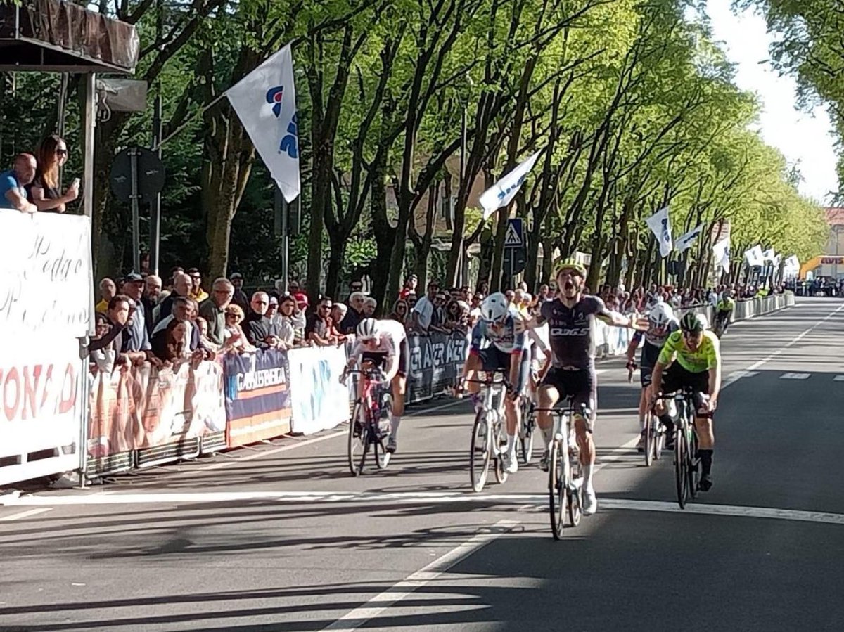 Pinarello Q36.5 Pro Cycling Team tweet media