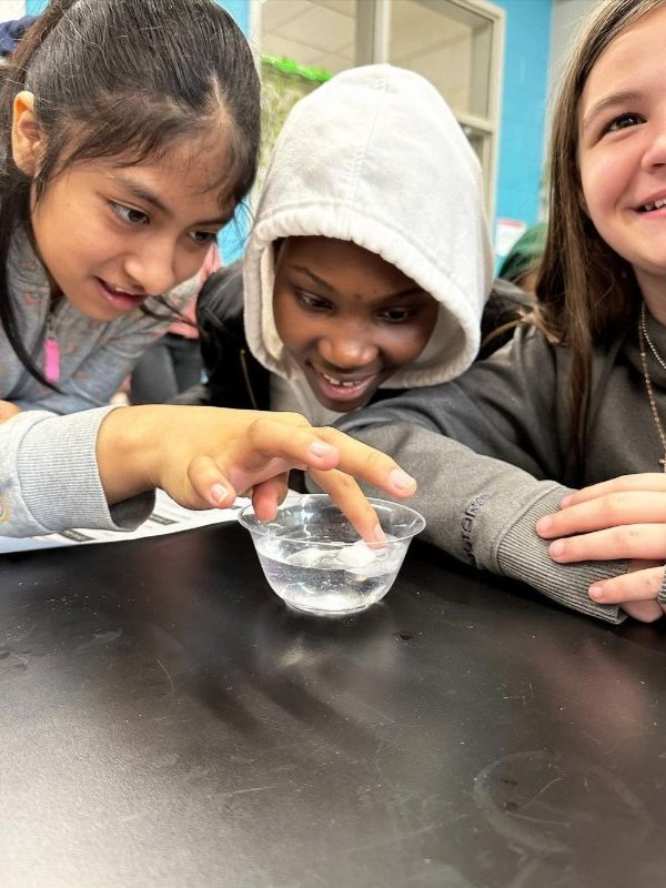 Ms. Unger's Nature Explorers class at Holabird is learning about biodegradable vs. conventional plastics by discovering what happens when you place each kind of plastic in water.