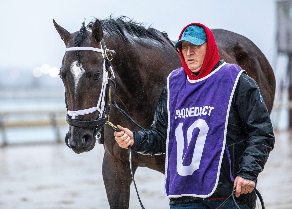 Gotham Stakes runner up JUST A TOUCH hopes drier weather results in victory in today's Grade 1 Blue Grass Stakes @keenelandracing for trainer @bradcoxracing. The Blue Grass offers 100-50-25-15-10 @kentuckyderby points up for grabs. 📸 Jason Mor