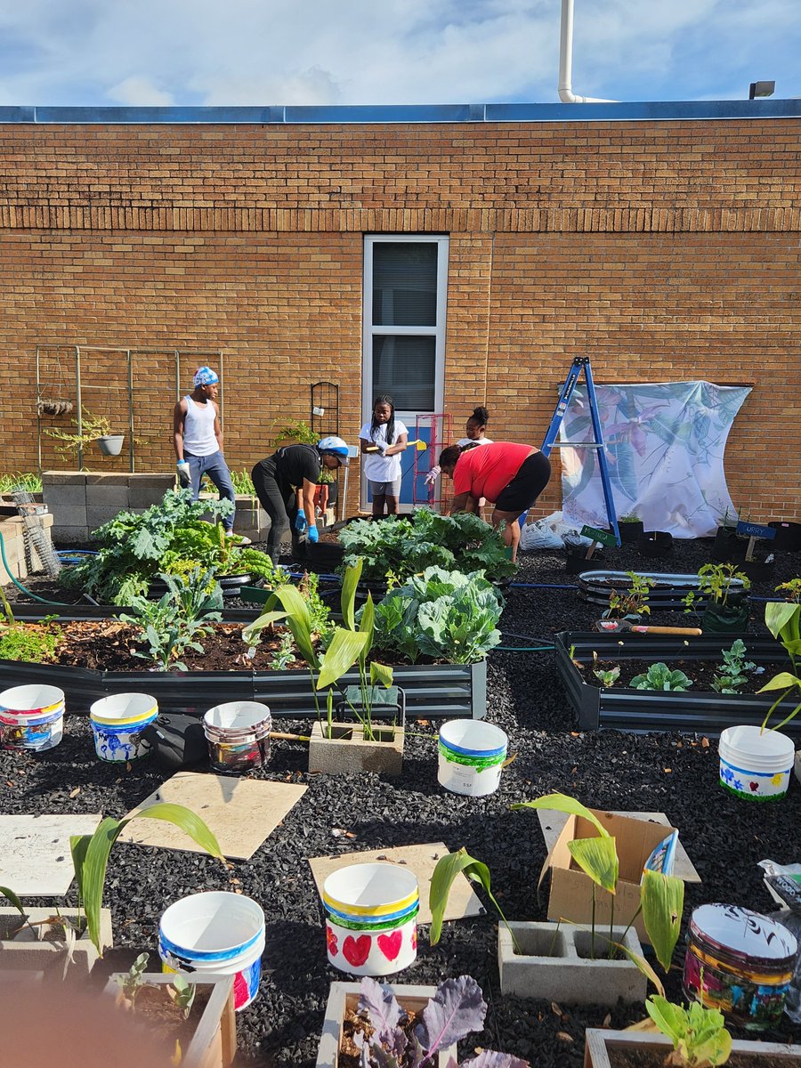 Clifford Lee tweet media