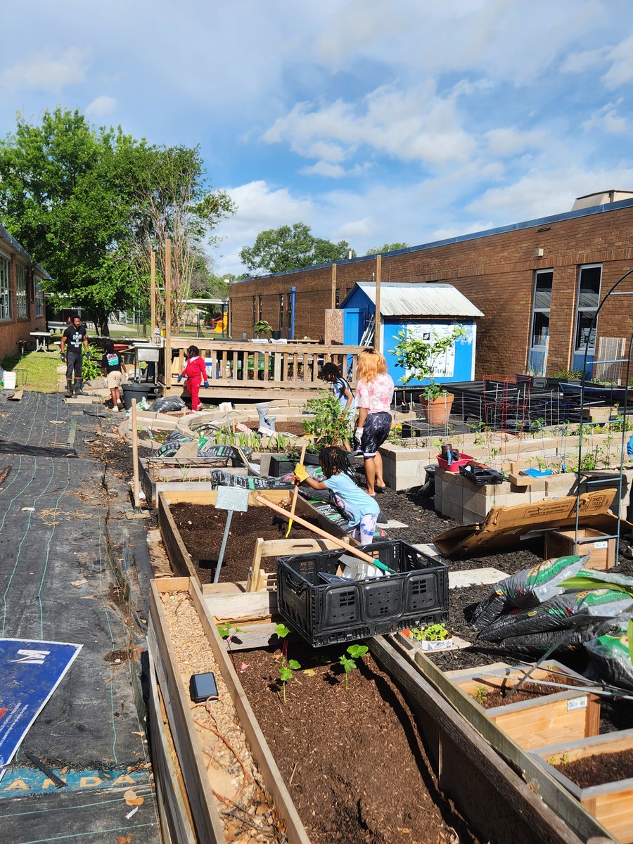 Clifford Lee tweet media