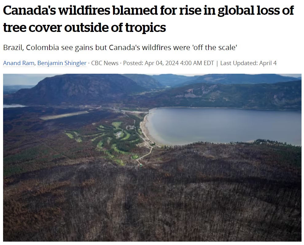 'Progress made when it comes to the protection of the world's forests was thwarted by 2023's historic wildfire season in 🇨🇦, according to a new [@WorldResources] report. The survey found global tree cover loss outside of the tropics increased 24% in 2023' cbc.ca/news/climate/t…