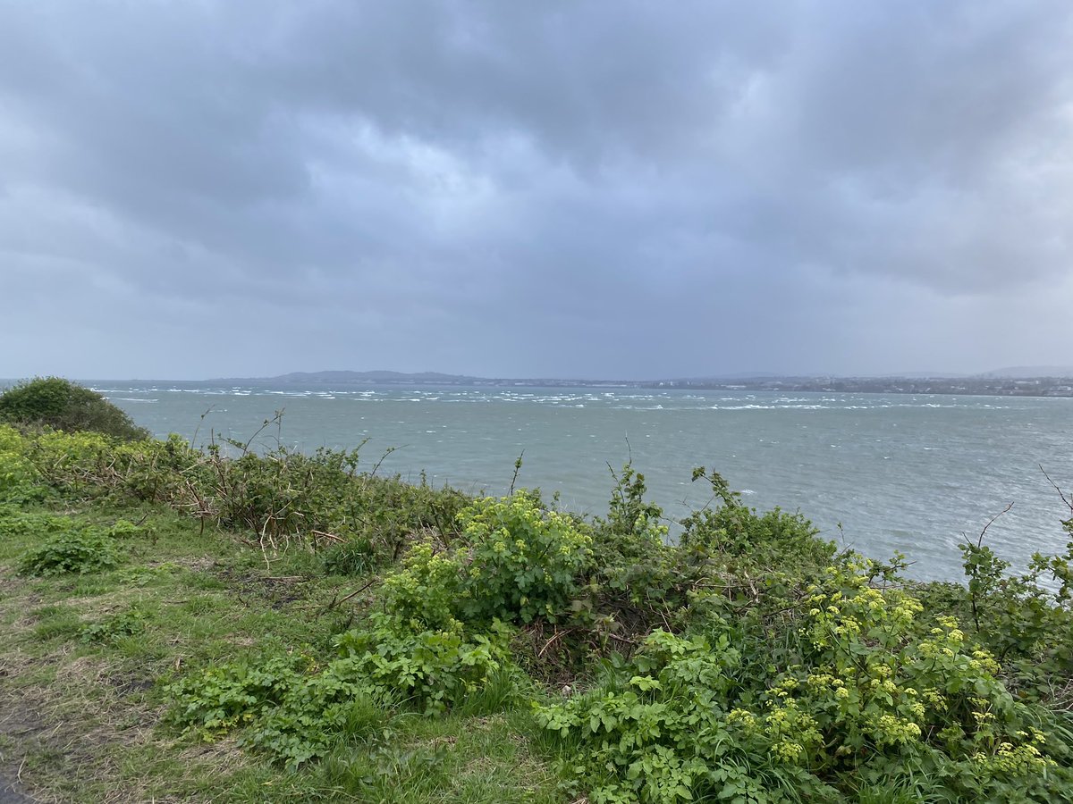 anne linsell 💙 tweet media