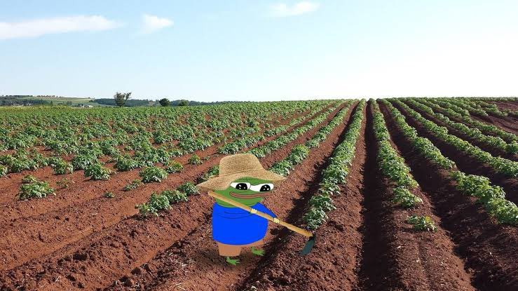 what do you think he's farming?
$PARAM <a href="/ParamLaboratory/">Param Labs</a>? 
$TRIP <a href="/PlayOverTrip/">OverTrip</a>? 
$BUBBLE <a href="/Imaginary_Ones/">Imaginary Ones | Bubio.ai</a>? 
$BEYOND <a href="/PlayGroundCorp/">PlayGround</a>? 🤔