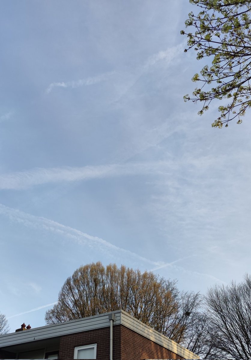 Petrawitjes's tweet photo. 25 graden en zon werd verwacht. De dag begon goed, totdat...... Nu is het weer grauw en grijs.
#chemtrails #twente https://t.co/9vgUrDzSKM