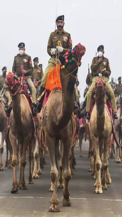 माननीय चुनाव आयोग <a href="/ECISVEEP/">Election Commission of India</a> BSF वाले ऊँटों के साथ क्रूरता कर रहें हैं ये गणतंत्र दिवस की परेड में भी शामिल हैं आप शायद इन्हें नोटिस देना भूल गए !! 

यदि आपने इन्हें  नोटिस नहीं दिया, तो हम समझेंगे कि आपने <a href="/roat_mla/">Rajkumar Roat</a>  को उनके आदिवासी होने के कारण नोटिस दिया हैं।
 #ECI_जबाब_दो