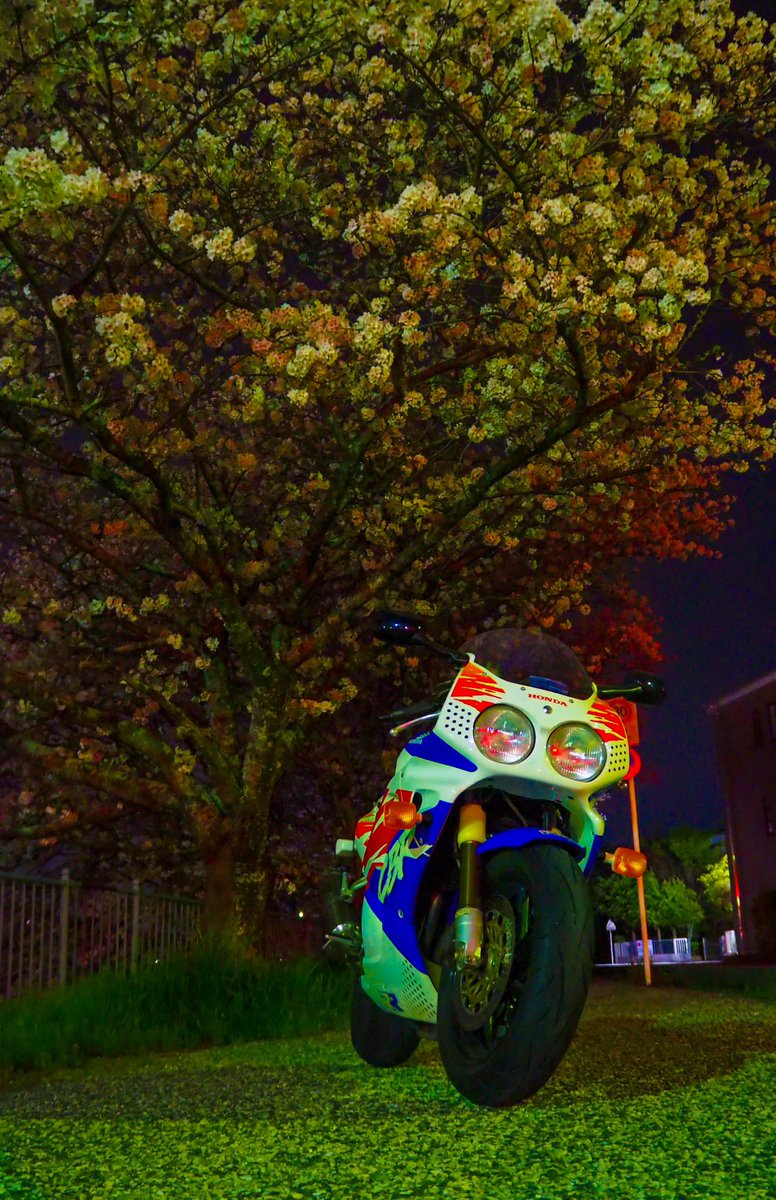 yot0893's tweet image. 夜桜撮りに行ったんだけど夜のカメラ使い方わからなかったし、雨降ってきたから結局近場。
➖➖➖➖➖➖➖➖➖➖➖➖➖➖ #cbr900rrfireblade #cbr900rr #sc28 #バイク #バイク乗りと繋がりたい #バイクのある風景 #ツーリング