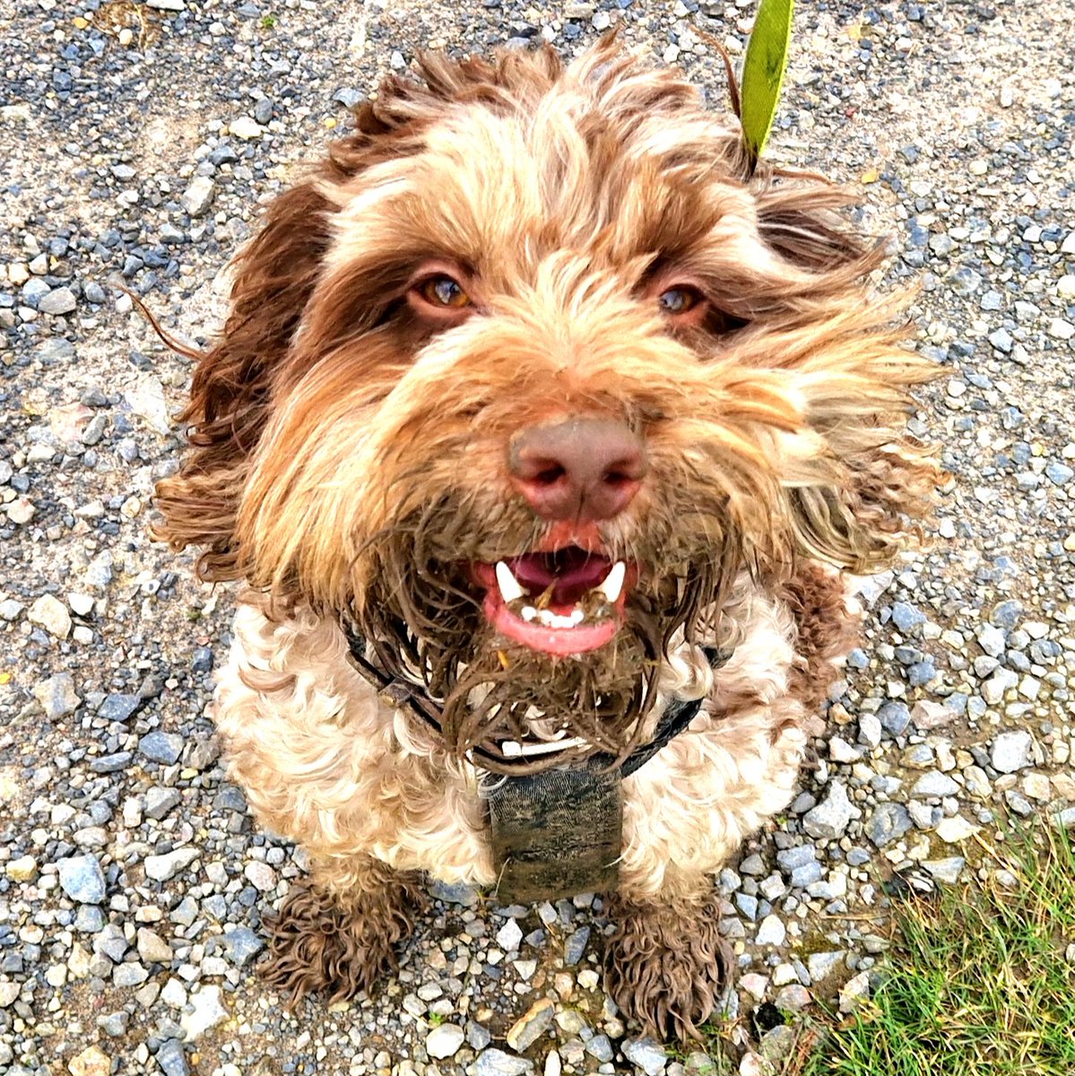 Second bath of the day coming up...! #TELLINME 🤪
#BOSLEYJOHNBOSLEY #TIMMYALEXISCARRINGTONWARD #LEXANDBOZONTHEHILL