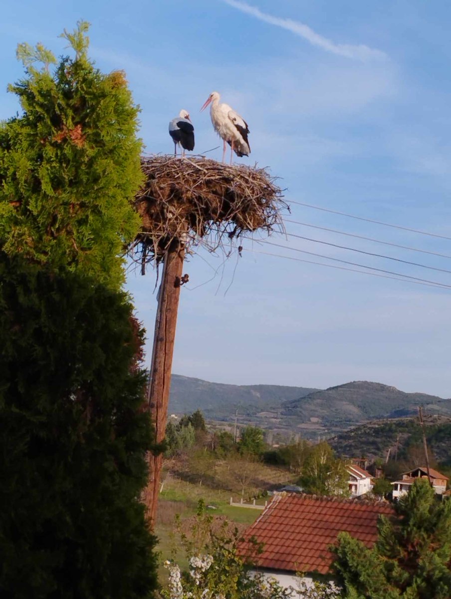 Со убаво друштво на Тиквешко😊