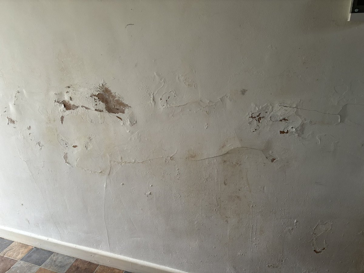 DianaCameron70's tweet image. Last night’s discovery of the black mould wall update:  loads of bleach mix : scrubbed four times… looking better already. 😵‍💫😵‍💫🙀🙀

I can’t breathe but hey ho ! 

Before and after pics #Mould #OldCottage