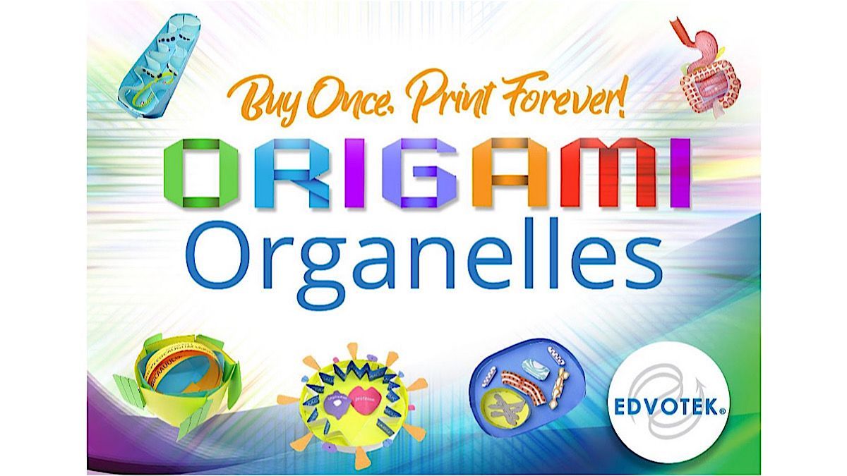 Looking for a US supplier of digital Origami Organelles? Visit @edvotek for details. bit.ly/2RxaADa 

#USteachers #biologyteacher #iteachbio #chemistryteacher #physicsteacher #STEMteacher #STEAMteacher #STEMactivities