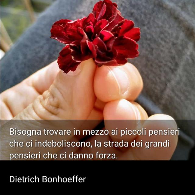 #6aprile #dietrichbonhoeffer #pensieri