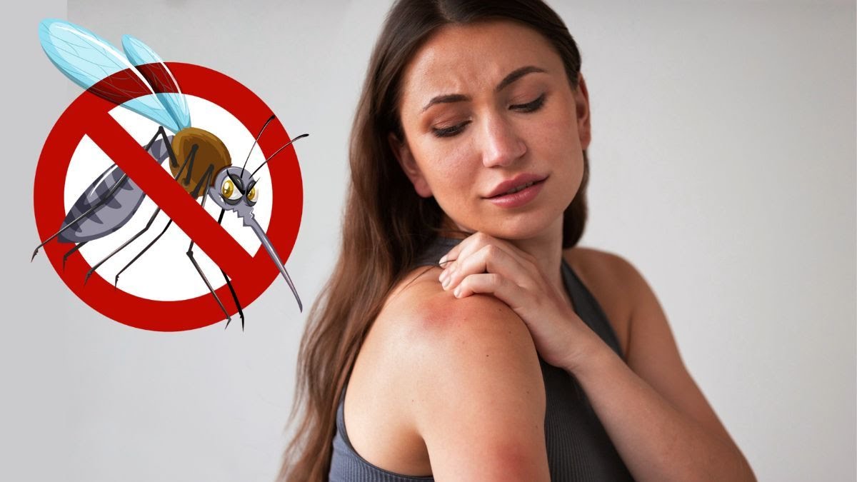 AgendaSalta's tweet photo. 🚫 La planta que ahuyenta mosquitos del hogar y perfuma el ambiente con su delicioso aroma

🔴 Colocar macetas de albahaca alrededor del hogar puede ayudar a mantener a raya a los molestos mosquitos.
https://t.co/s4KNe8WrMS https://t.co/yXdD7r2ese