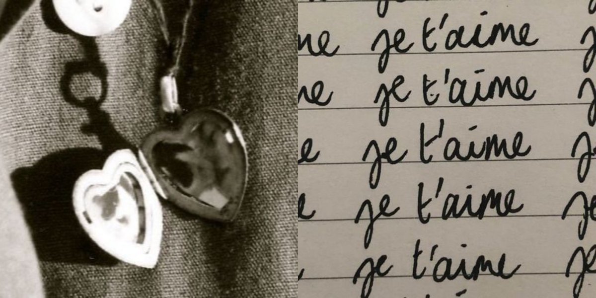 The_Masked_Bandit tweet media