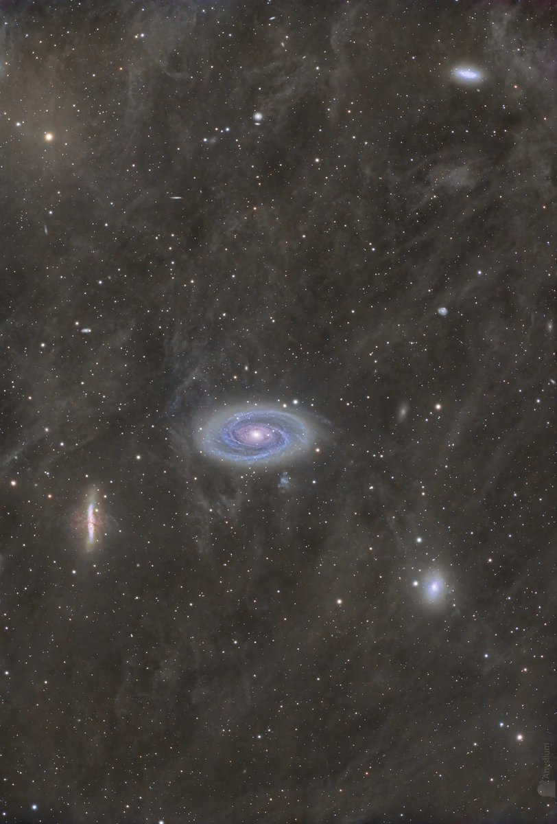 In our galaxy, between stars there are just vacuum… or not!
If you do a long exposure image from a dark sky and you process it with the talented hands of @Jaume_zapata you detect huge amounts of gas &amp; dust.
And beyond that the galaxies M81 &amp; M82 (Anysllum Obs. J.Zapata &amp; X.Bros)