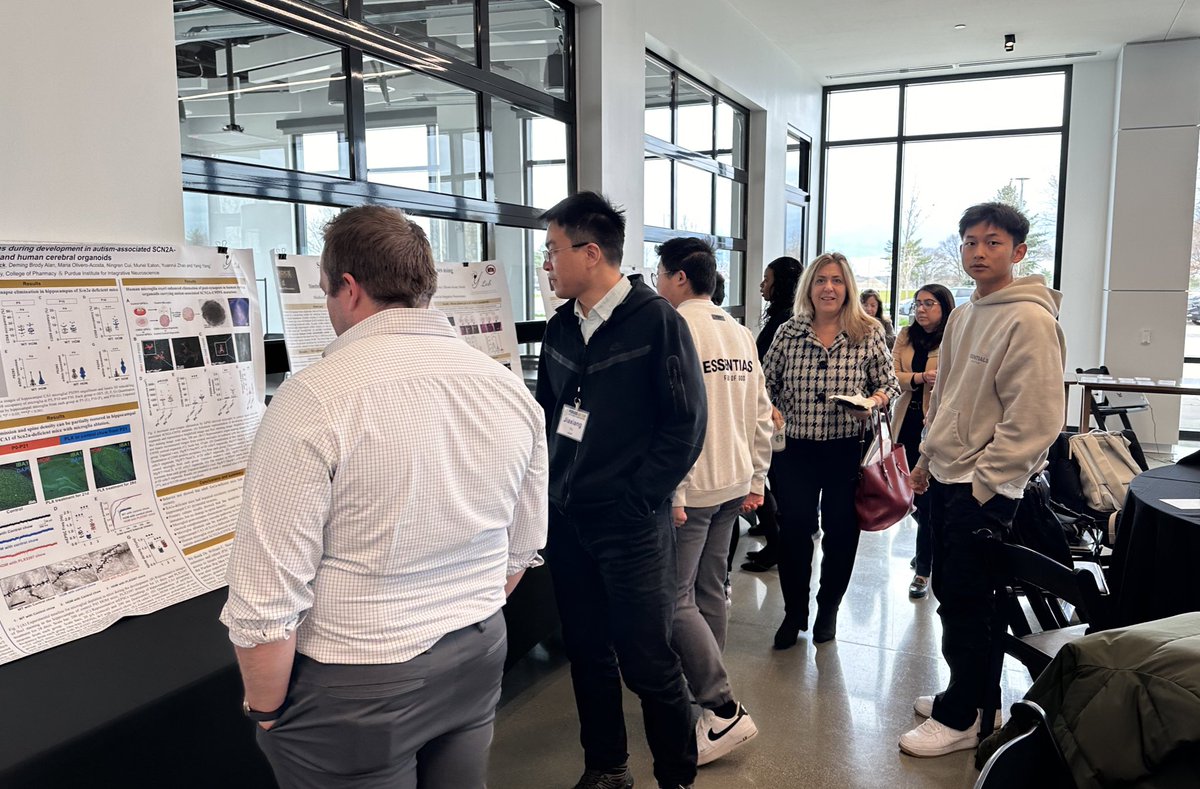 Yang Yang & Lab tweet media