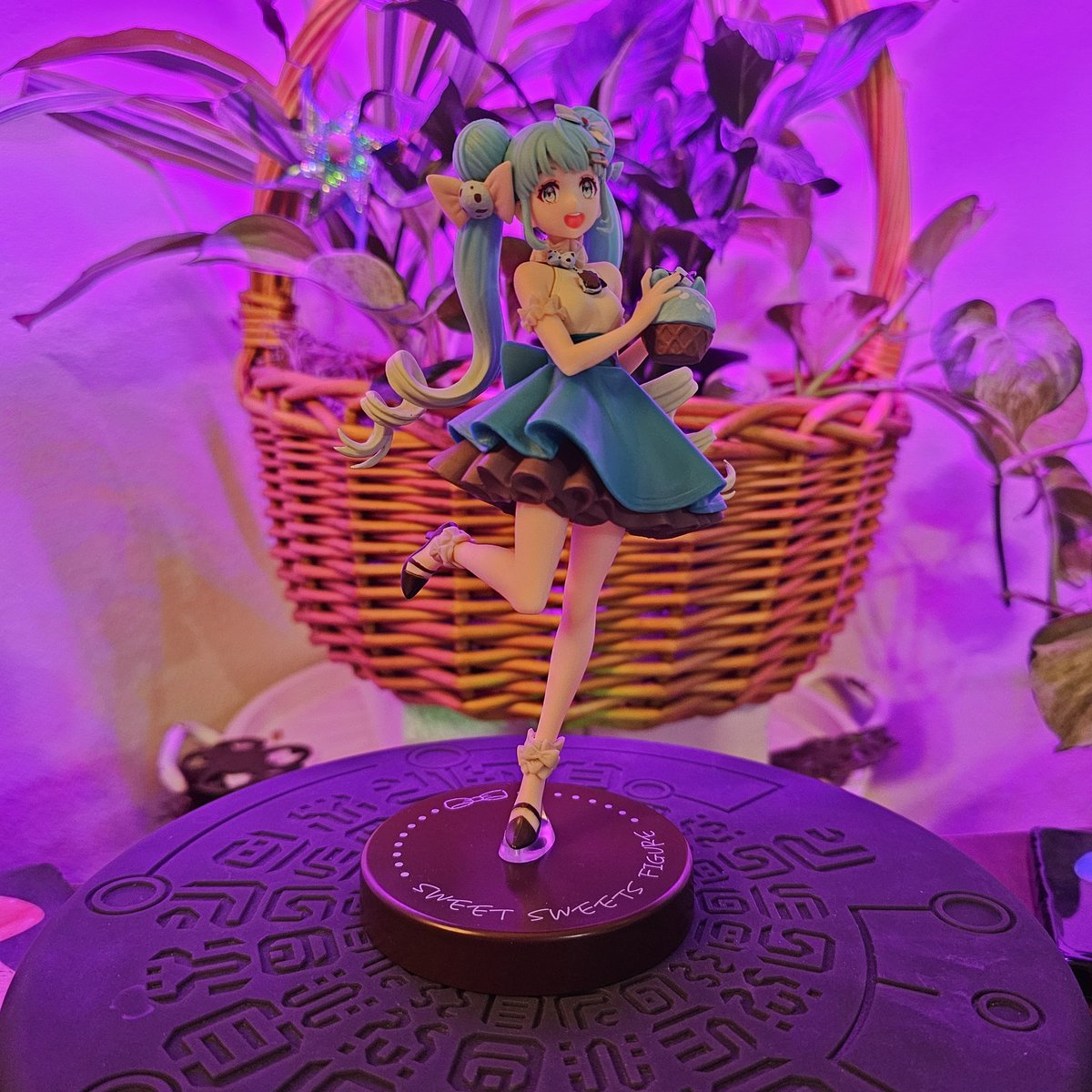 SerenchiStuff's tweet photo. The Miku army is growing. 😂

One of the anime shops is closing, so we went to look at the sales they had. I bought two of the cheaper Miku figures I've been eyeing. I ended up paying about the same if I bought them online though. 

#hatsunemiku #figures #collectibles #collection https://t.co/Hcm5QOGtcq