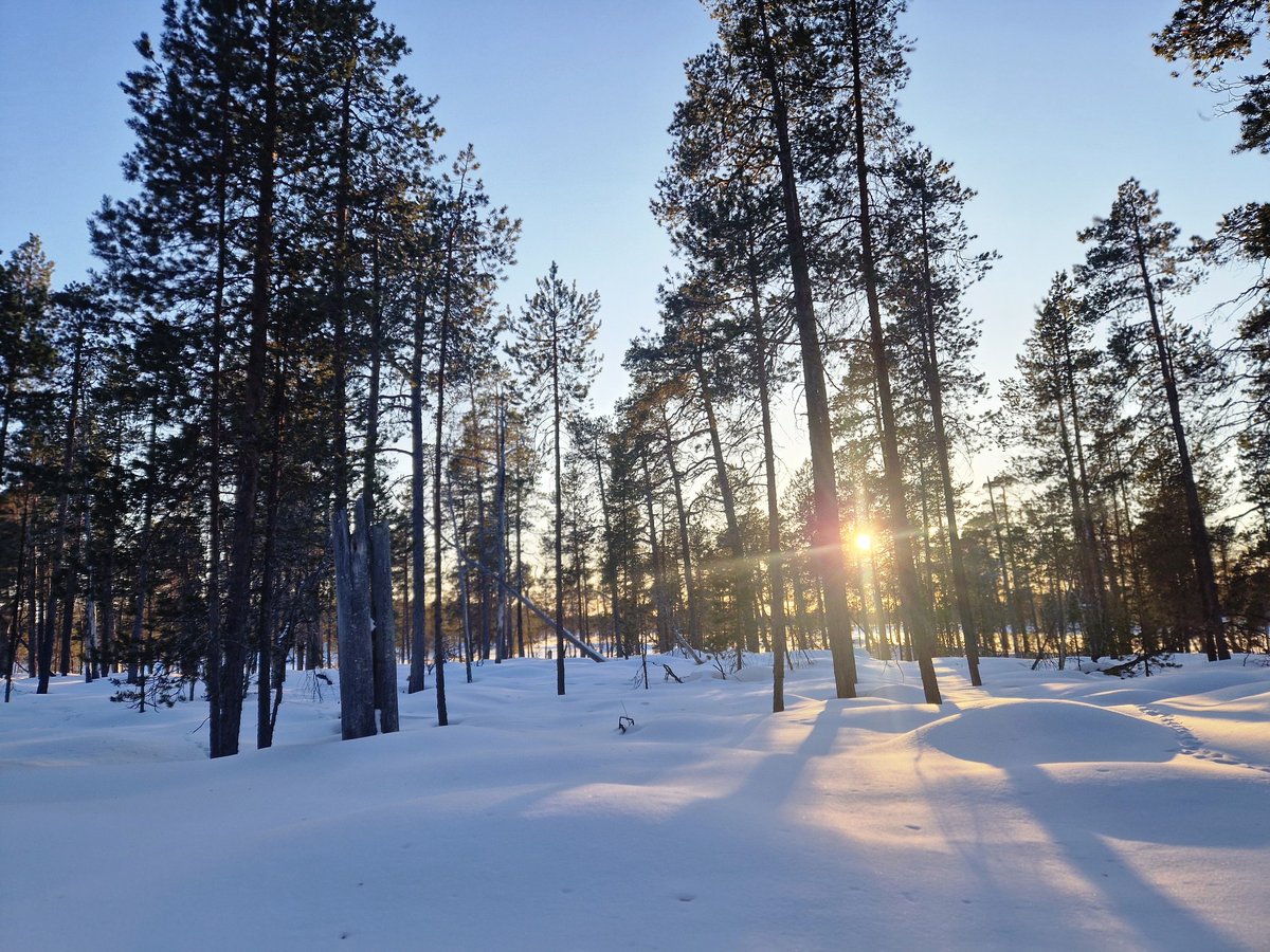 Missä lappilainen #Metsänhoitoyhdistys #johtaja lataa akkunsa?

No tietysti keväthangilla #boreaalinen #luonnonmetsä #Lappi #Inarijärvi

Illalla mökkiin, joka rakennettu  oman #metsä'n puista. Niillä tuvan lisäksi myös sauna lämpenee...