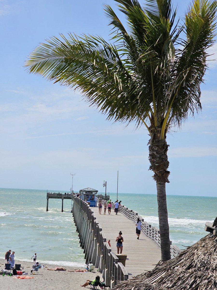 QP a vacation photo
Hi everyone! Here's my vacation photo. Venice, Florida. #beachlife #Vacation #VeniceBeach
#ThePhotoHour