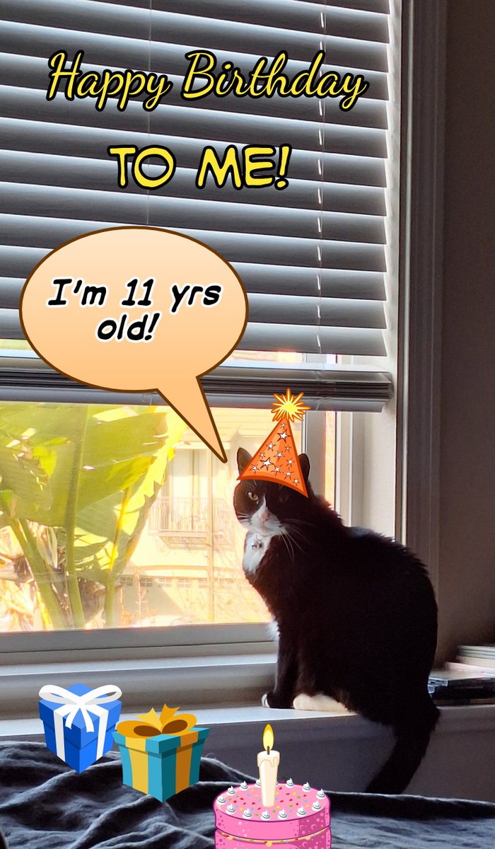 Mo🐈‍⬛ & Jo👵 tweet media