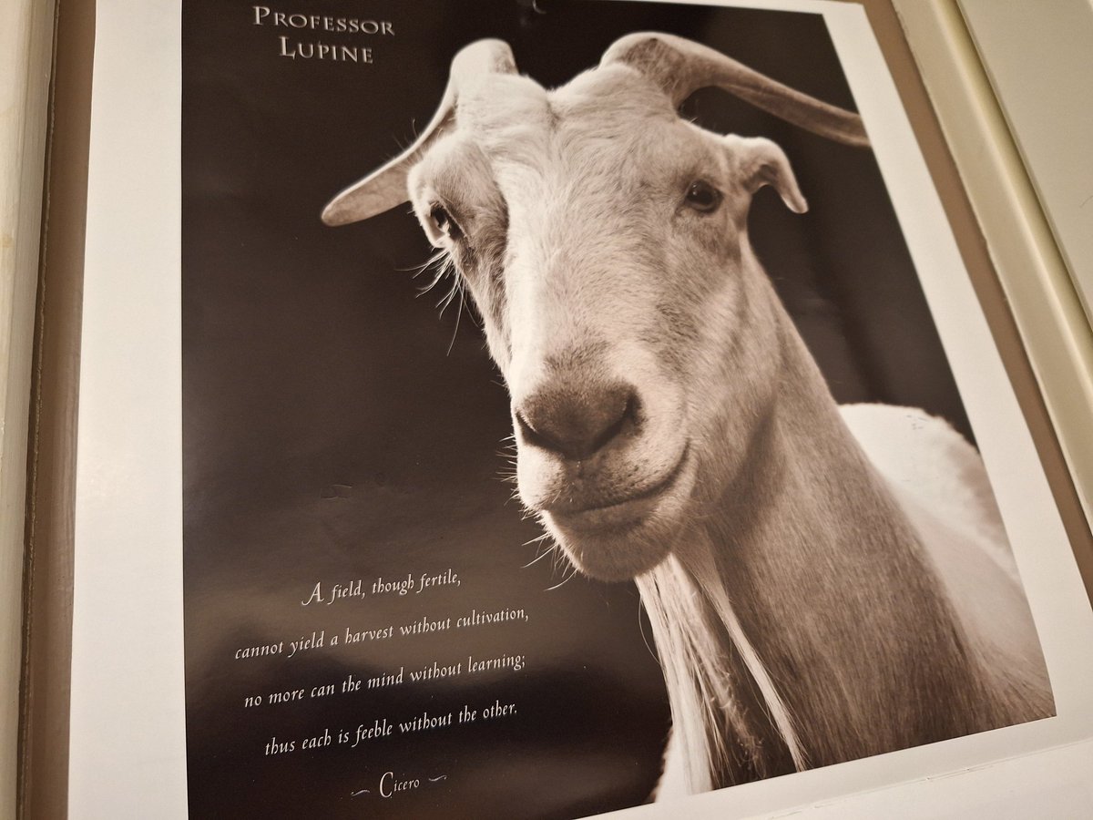 wisdom from nature's philosophers #iamgoat #april #goat #tgif #calendar #fun #love #thankyou #creative #goatlove #peace #hope @newmoonfarmsanctuary @amberlotuspublishing @khoranphoto 🐐 ❤️