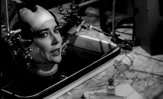 Artoftheproblem's tweet photo. Does your Brain need your Body? A Brief History of Intelligence: https://t.co/kbFIxvWgPB created w/ @maxsbennett https://t.co/awTU5jp5R6