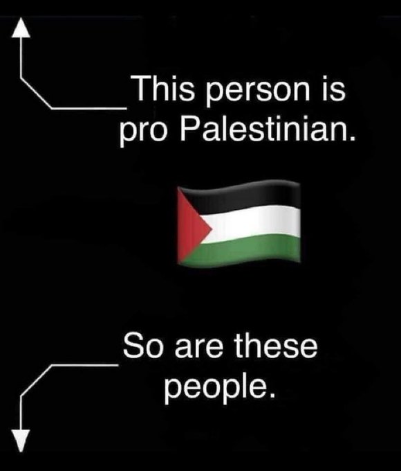 Show me your solidarity with Palestine if you are one of us! #FreePalestine
