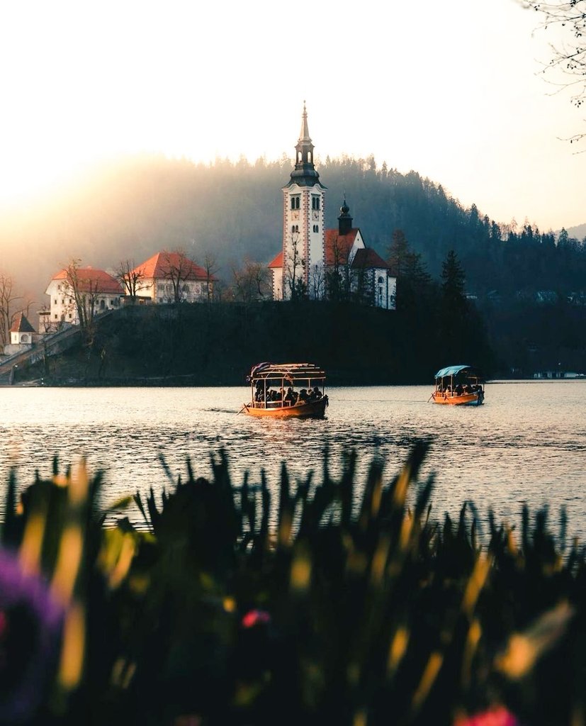 Good morning from Lake Bled, Slovenia 🇸🇮